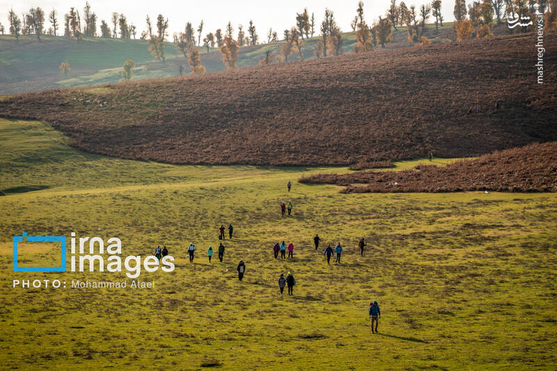 عکس/ پاییز دشت "مرکوه"