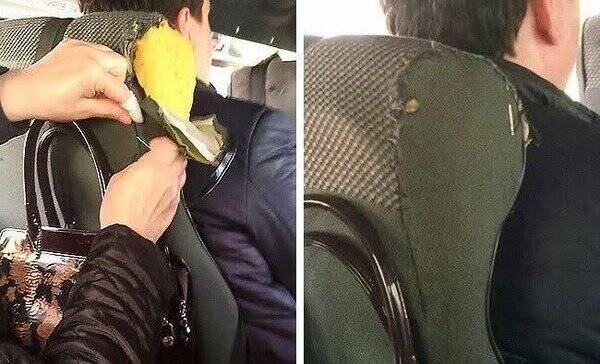 کار جالب مسافر اتوبوس | ببینید