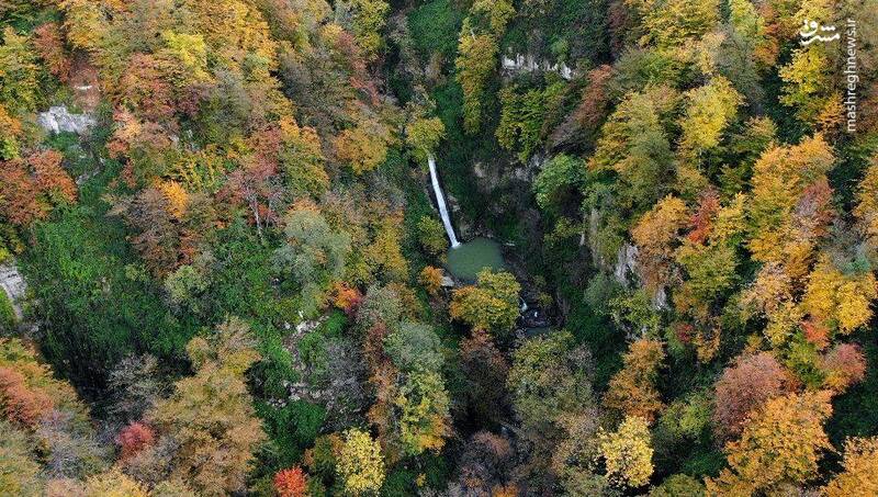 نمایی از شیرآباد در دل جنگلهای هیرکانی + عکس