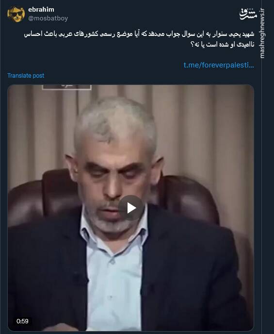 آیا موضع رسمی کشورهای عربی باعث احساس ناامیدی شهید سنوار شده بود؟ + فیلم