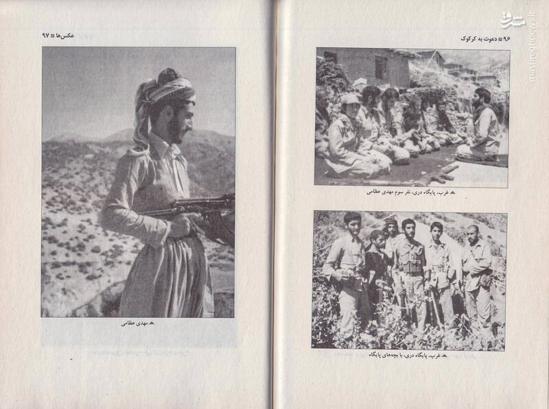 نوشیدن خون بچهخرس از تشنگی زیاد!