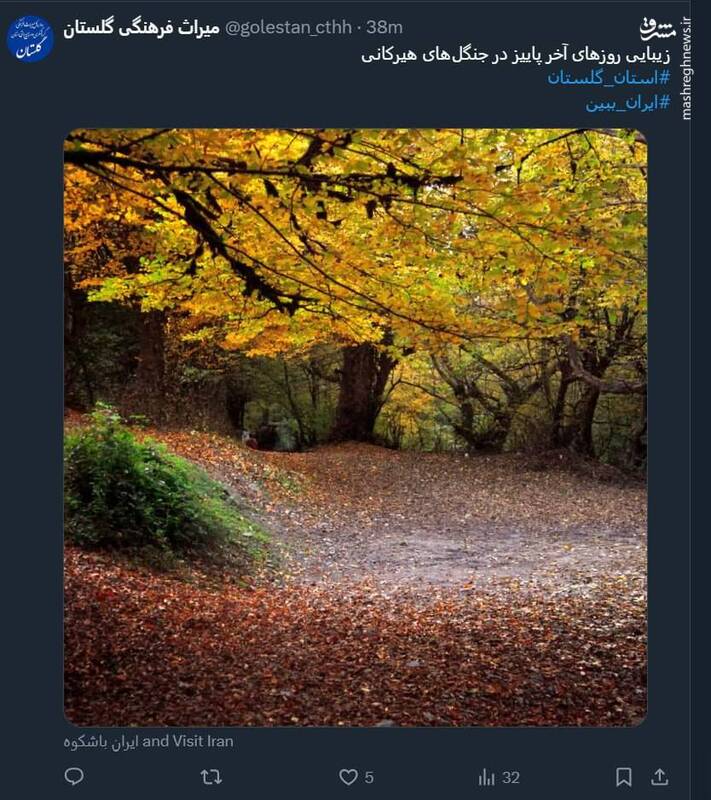 زیبایی روزهای آخر پاییز در جنگلهای هیرکانی + عکس