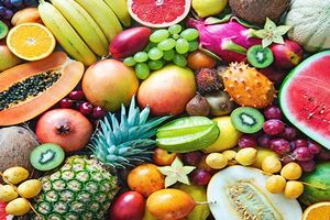 واردات 1میلیارد دلاری میوههای گرمسیری / سالانه 700 تا 800 میلیون دلار بابت واردات موز از کشور خارج میشود