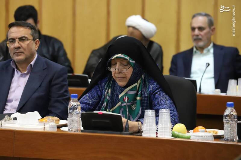 عکس / دورهمی وزرای ادوار گذشته با عارف 6