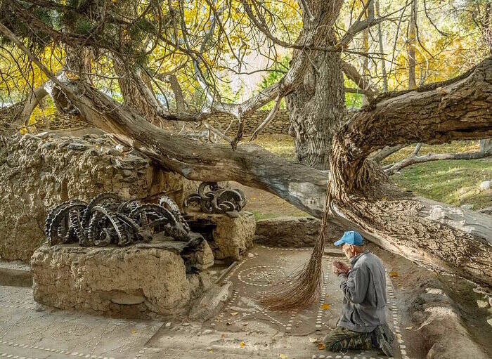 نگاهی به عکسهای منتخب سال نشنال جئوگرافیک/ عکاس ایرانی در میان منتخبان