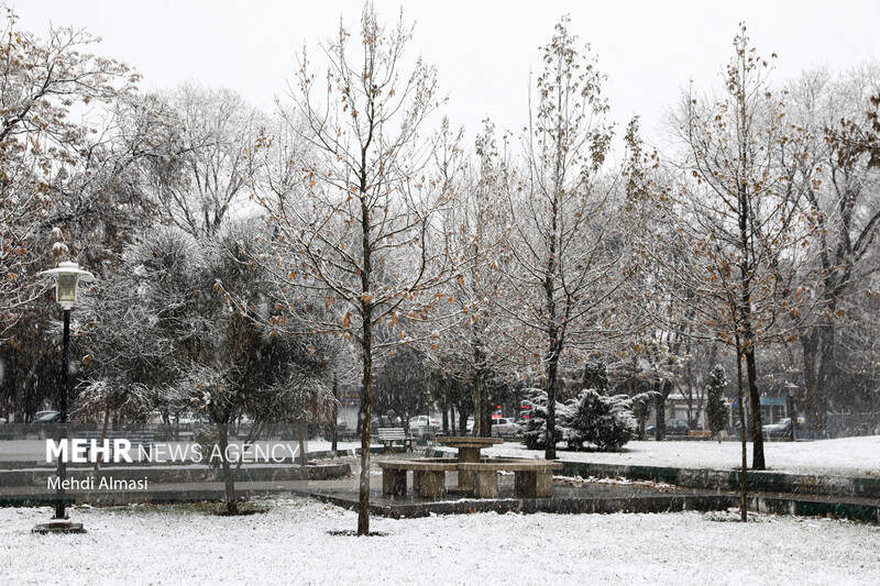 بارش برف پاییزی در زنجان