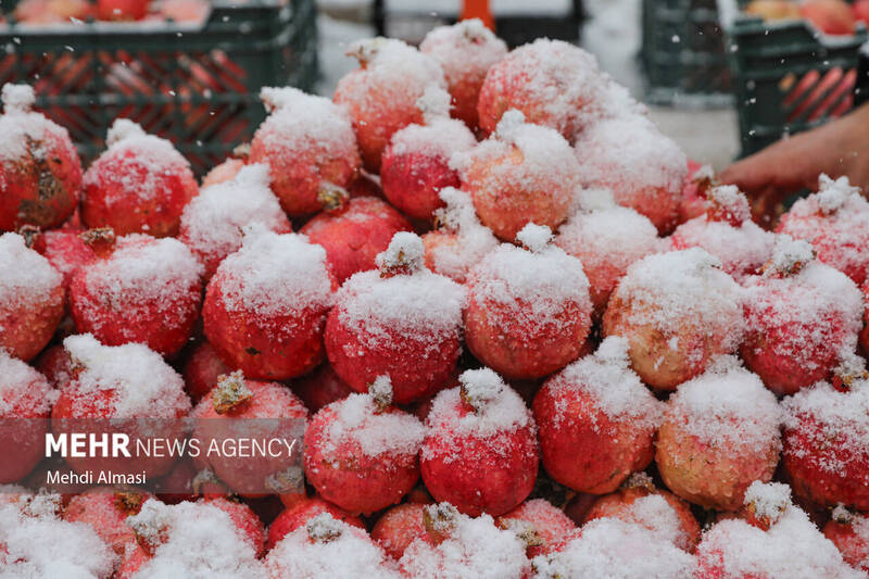 بارش برف پاییزی در زنجان