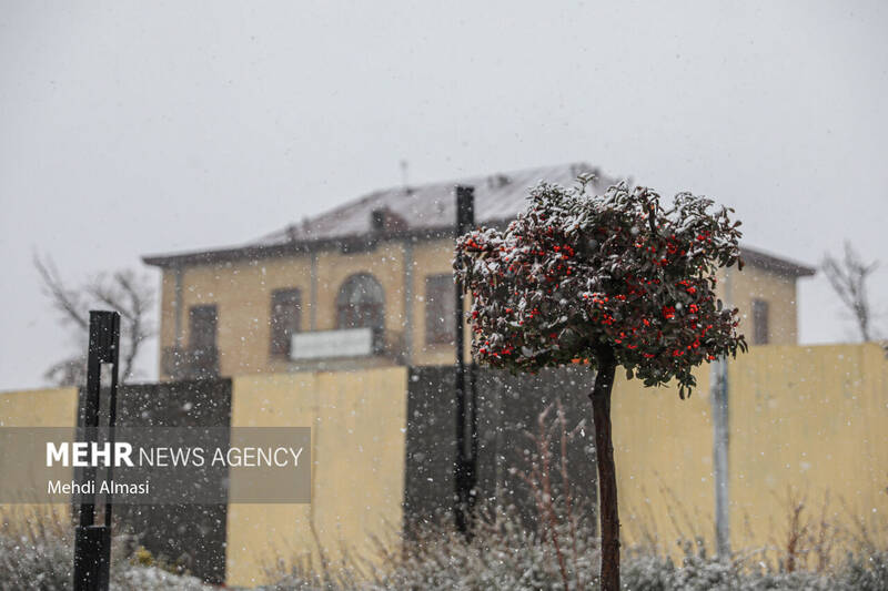 بارش برف پاییزی در زنجان