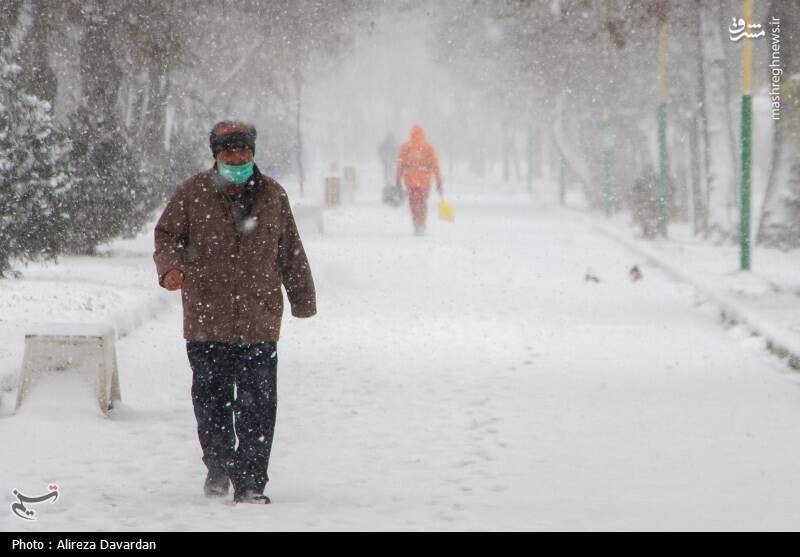 عکس/ بارش برف در اردبیل