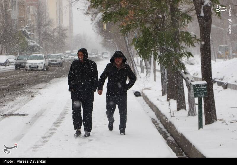 عکس/ بارش برف در اردبیل