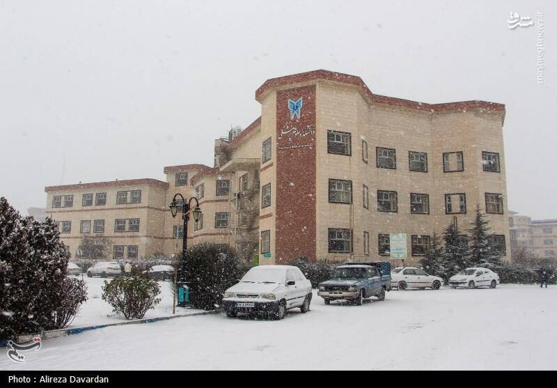 عکس/ بارش برف در اردبیل