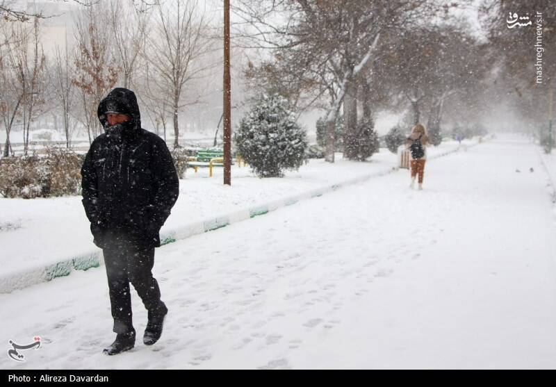 عکس/ بارش برف در اردبیل