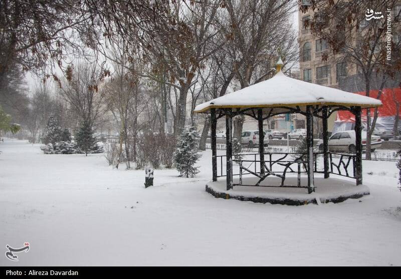 عکس/ بارش برف در اردبیل