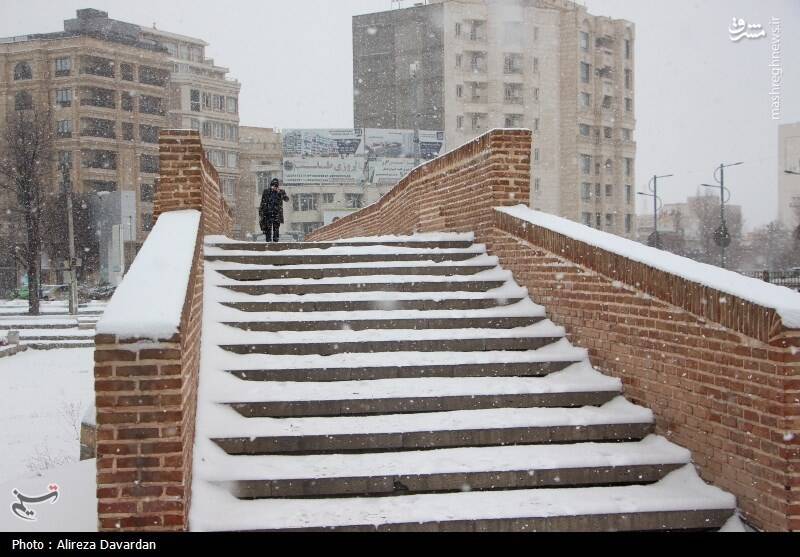 عکس/ بارش برف در اردبیل