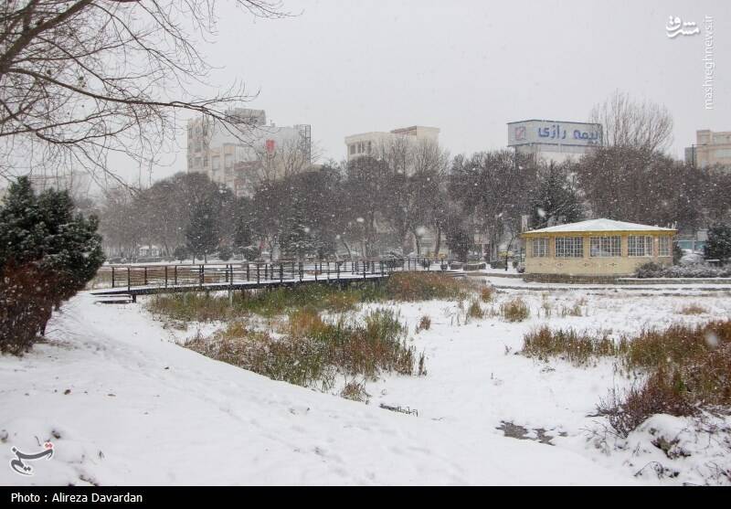 عکس/ بارش برف در اردبیل