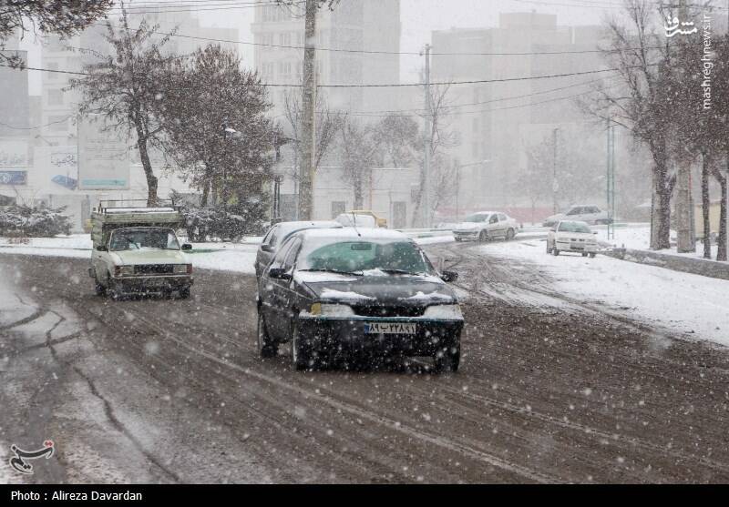 عکس/ بارش برف در اردبیل