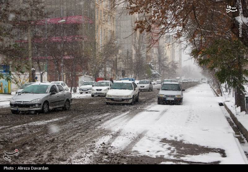عکس/ بارش برف در اردبیل