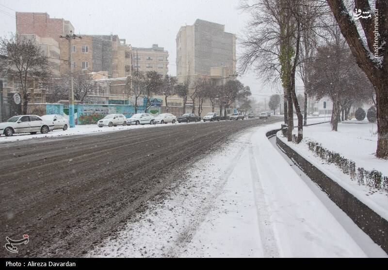 عکس/ بارش برف در اردبیل