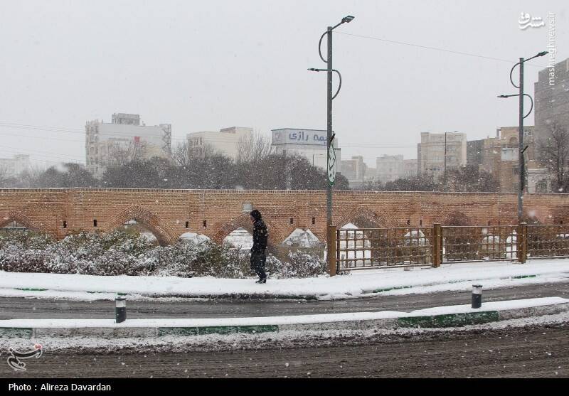 عکس/ بارش برف در اردبیل