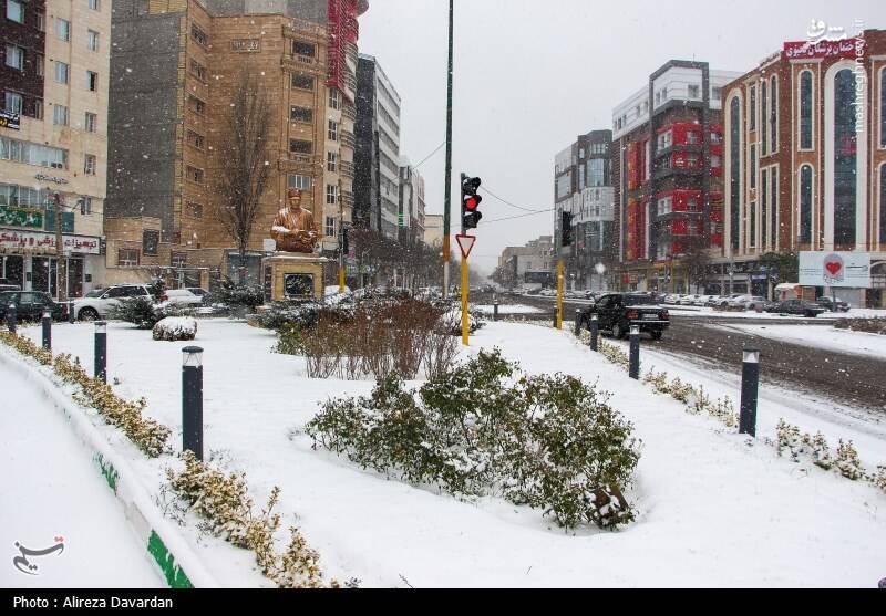 عکس/ بارش برف در اردبیل