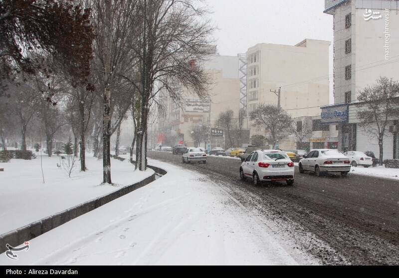 عکس/ بارش برف در اردبیل