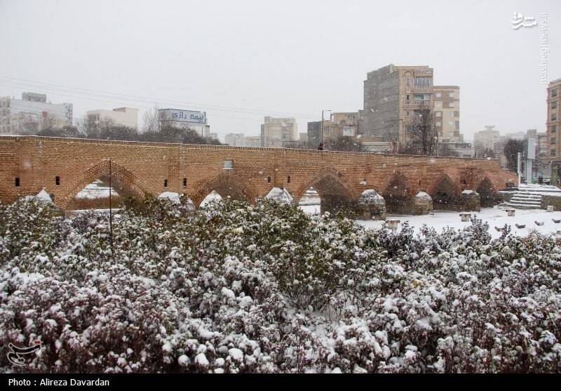 عکس/ بارش برف در اردبیل