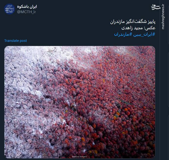 تصویری از پاییز شگفتانگیز مازندران