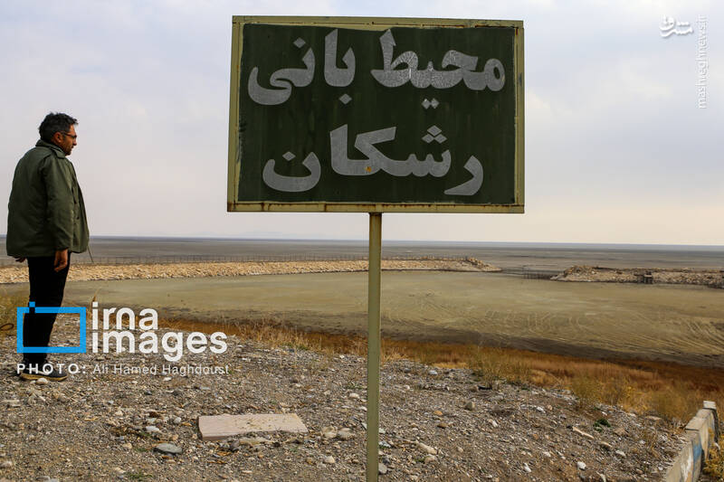 عکس/ گوزن زرد ایرانی