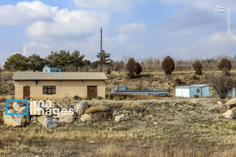 عکس/ گوزن زرد ایرانی