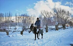 رخت سفید بر تن ایران زیبا