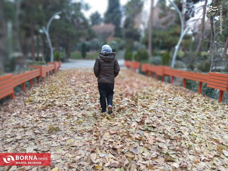 عکس/ پاییز در بوستان ساعی تهران