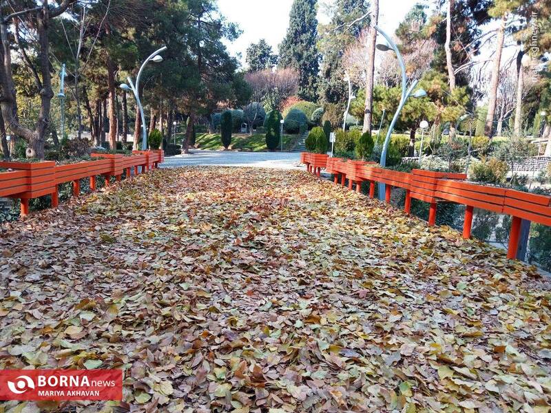 عکس/ پاییز در بوستان ساعی تهران