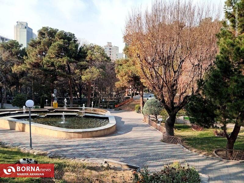 عکس/ پاییز در بوستان ساعی تهران