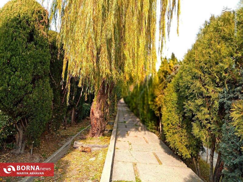 عکس/ پاییز در بوستان ساعی تهران