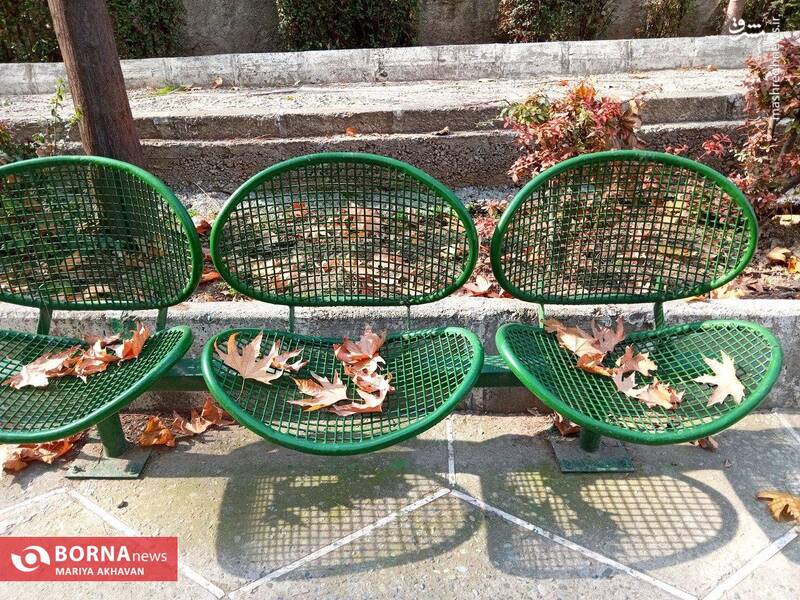 عکس/ پاییز در بوستان ساعی تهران