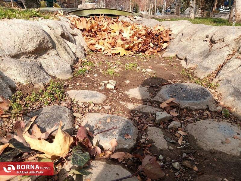 عکس/ پاییز در بوستان ساعی تهران