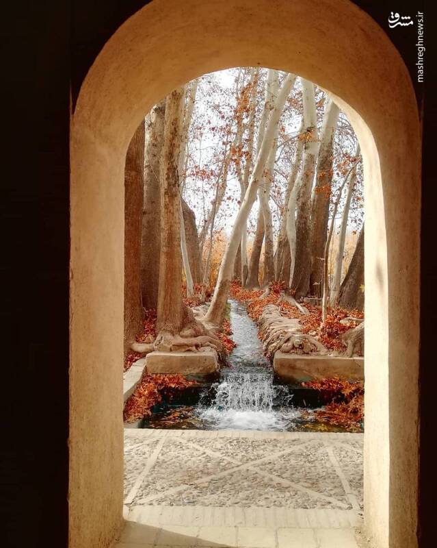 برگ ریزان پاییز و بهشت رنگها مهمان باغ جهانی پهلوان پور مهریز