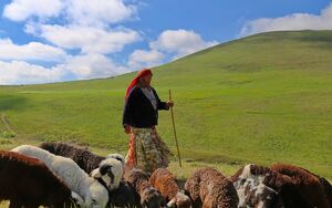 مادران ایل