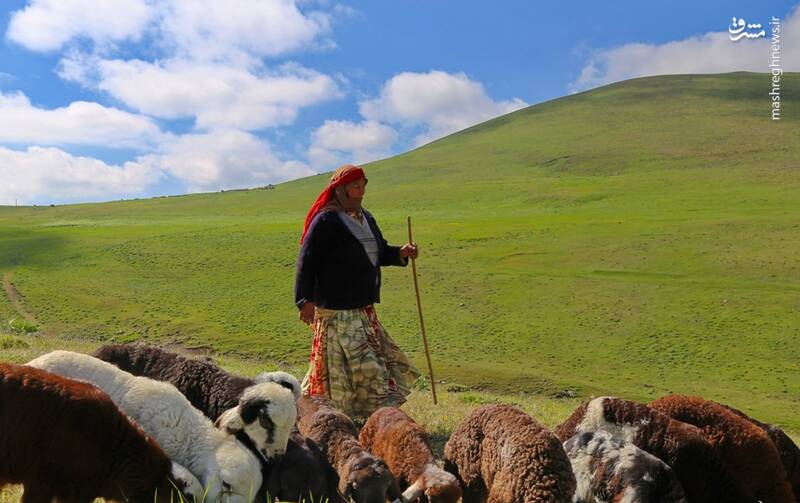 ايل،مادران،زنان