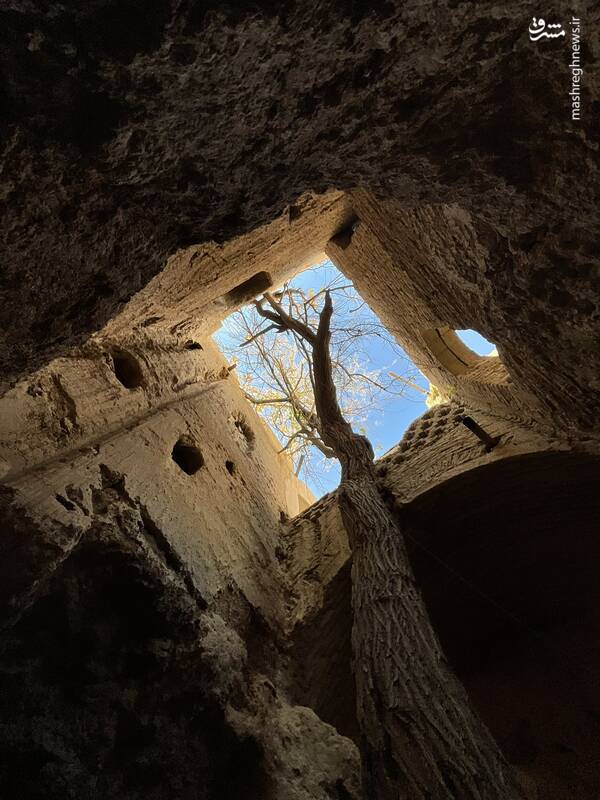 تصاویری از بیاضه شگفتانگیز در اصفهان