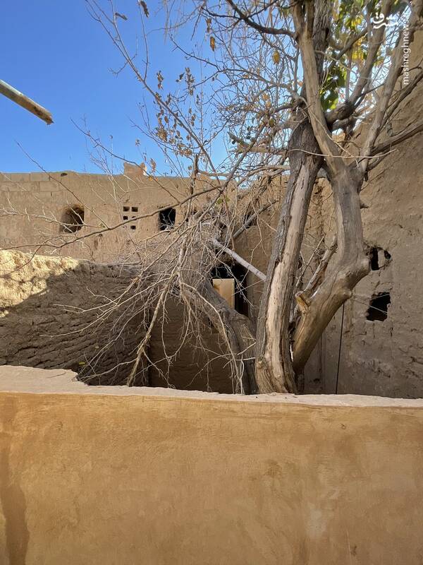 تصاویری از بیاضه شگفتانگیز در اصفهان