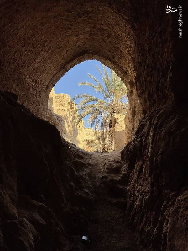 تصاویری از بیاضه شگفتانگیز در اصفهان