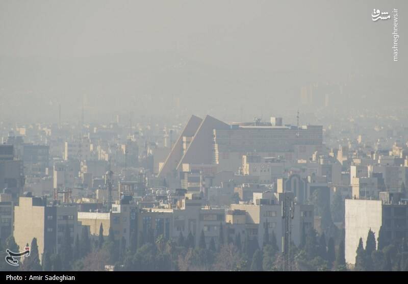 عکس/ آلودگی هوای شیراز