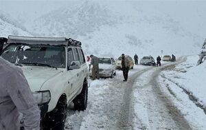 فیلم/ بارش برف و باران در کردستان