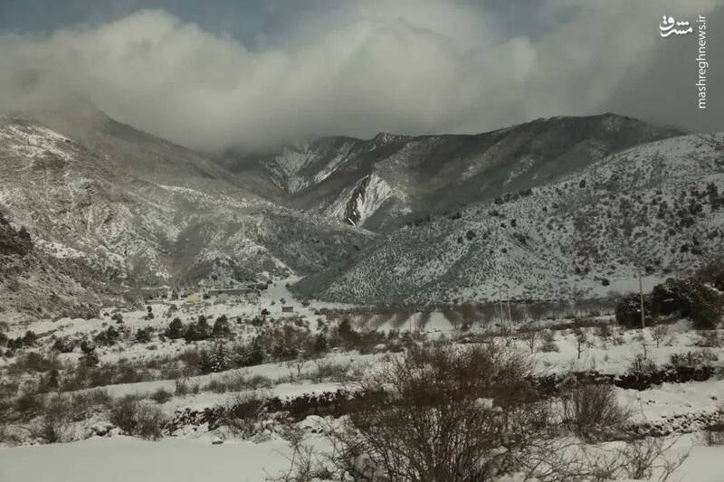 تصاویری از زمستان در جنگل های گلستان