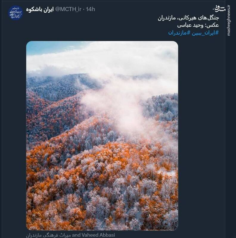 تصویری زیبا از جنگلهای هیرکانی در مازندران