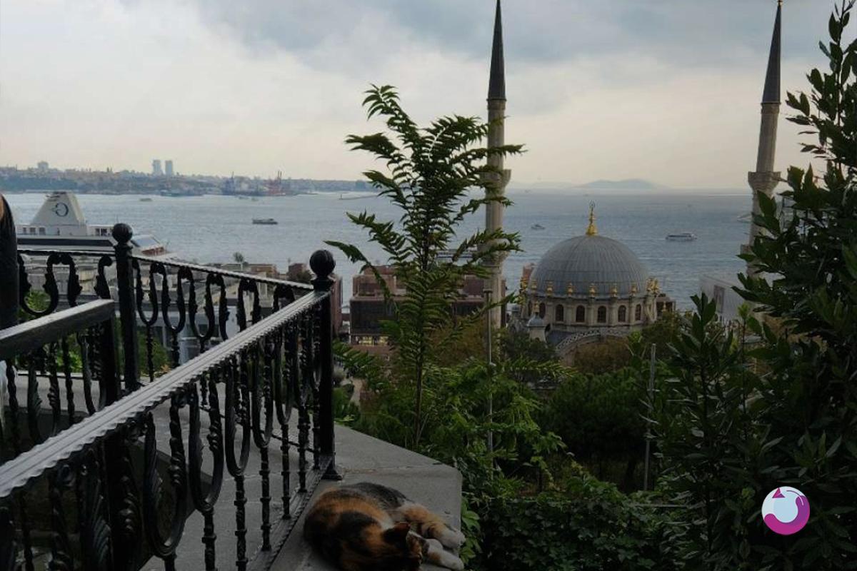 دولما باغچه؛ شگفتیهایی که انتظارش را در تور استانبول ندارید!