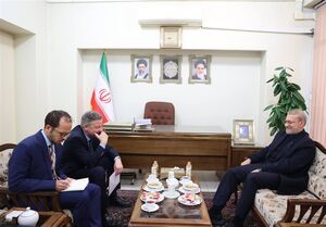 گفتوگوی سفیر آلمان با علی لاریجانی