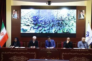 دنیامالی: در ناگویا روی جودو حساب میکنیم