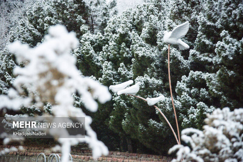 عکس/ اولین بارش برف زمستانی در اصفهان
